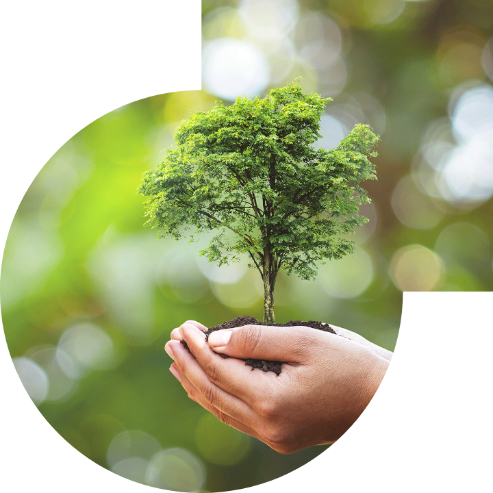 关怀人类、文化、环境与社会